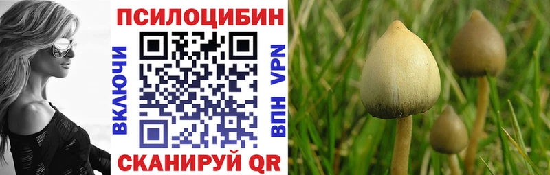 Псилоцибиновые грибы мицелий  Купить  Балахна 